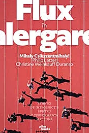 Flux in alergare. Tehnici de instrospectie pentru o performanta mai buna