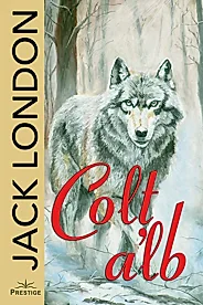 Colt Alb