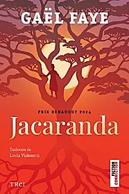 Jacaranda