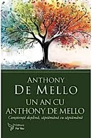 Un an cu Anthony De Mello