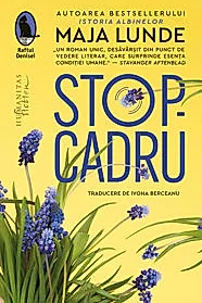 Stop-cadru