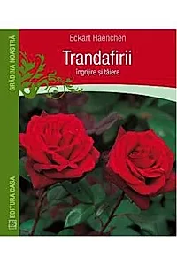 Trandafirii: Ingrijire si taiere
