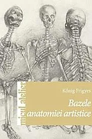 Bazele anatomiei artistice