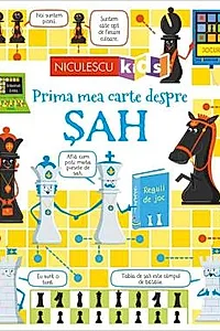 Prima mea carte despre SAH