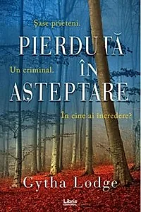 Pierduta in asteptare