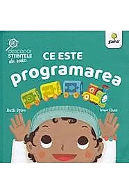 Ce este programarea
