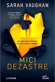 Mici dezastre