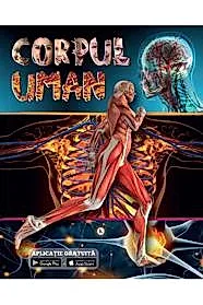 Corpul uman