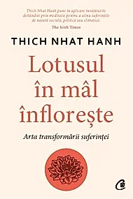 Lotusul in mal infloreste