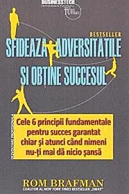 Sfideaza adversitatile si obtine succesul