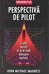 Perspectiva de pilot