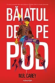 Baiatul de pe pod
