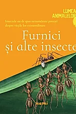 Furnici si alte insecte