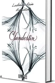 Clandestin