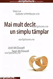 Mai mult decat un simplu tamplar
