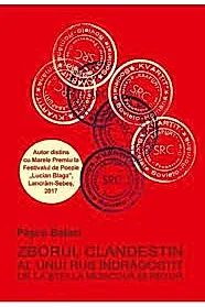 Zborul clandestin al unui rus indragostit de la stei la Moscova si retur