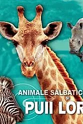 Animale salbatice si puii lor