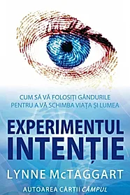 Experimentul intentie