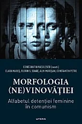 Morfologia (ne)vinovatiei