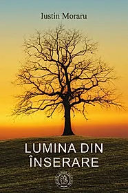 Lumina din inserare