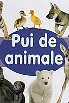 Pui de animale