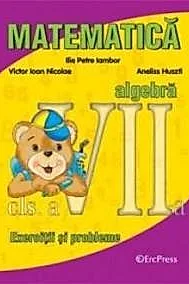 Matematica algebra exercitii si probleme clasa a 7-a
