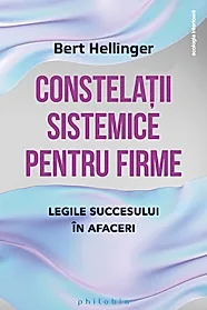 Constelatii sistemice pentru firme