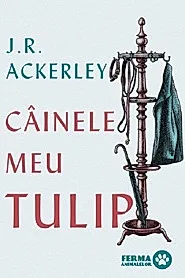Cainele meu tulip