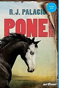 Ponei