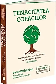 Tenacitatea copacilor
