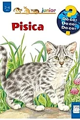 Pisica