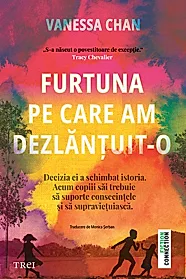 Furtuna pe care am dezlantuit-o