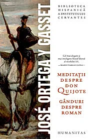 Meditatii despre Don Quijote