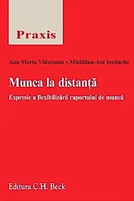Munca la distanta