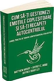 Cum sa-ti gestionezi emotiile coplesitoare si sa-ti recapeti autocontrolul (resigilat)