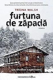 Furtuna de zapada
