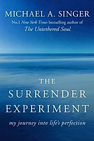 The Surrender Experiment : My Journey into Life's Perfection