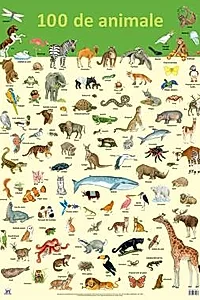 Plansa 100 de animale