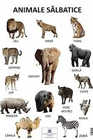 Plansa Animale salbatice