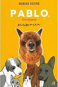 Pablo, the alpaca. Scrisoarea
