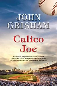 Calico Joe