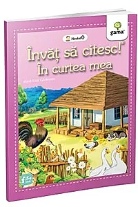 In curtea mea
