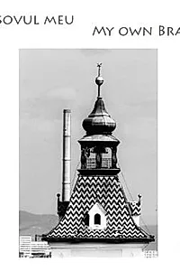 Brasovul meu