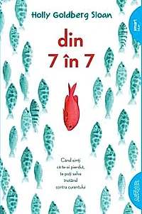 Din 7 in 7