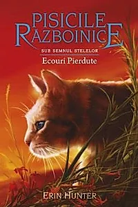 Ecouri pierdute. Seria Pisicile razboinice Vol.20