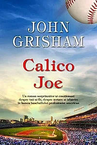 Calico Joe
