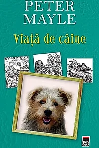 Viaţă de câine