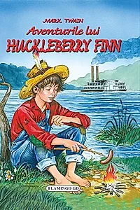 Aventurile lui Huckleberry Finn