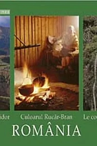 Culoarul Rucăr-Bran