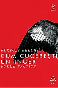 Cum cucerești un înger